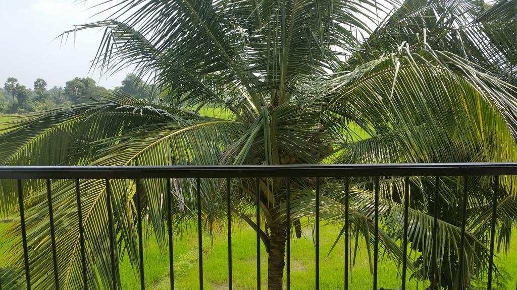 Serene View Tourist Rest Hotel Anuradhapura Exterior photo