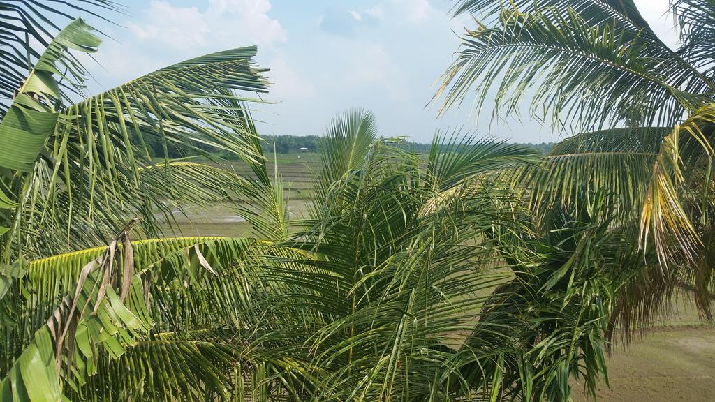 Serene View Tourist Rest Hotel Anuradhapura Exterior photo